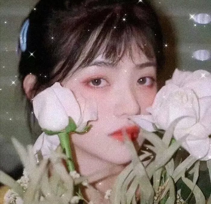 情迷维纳斯